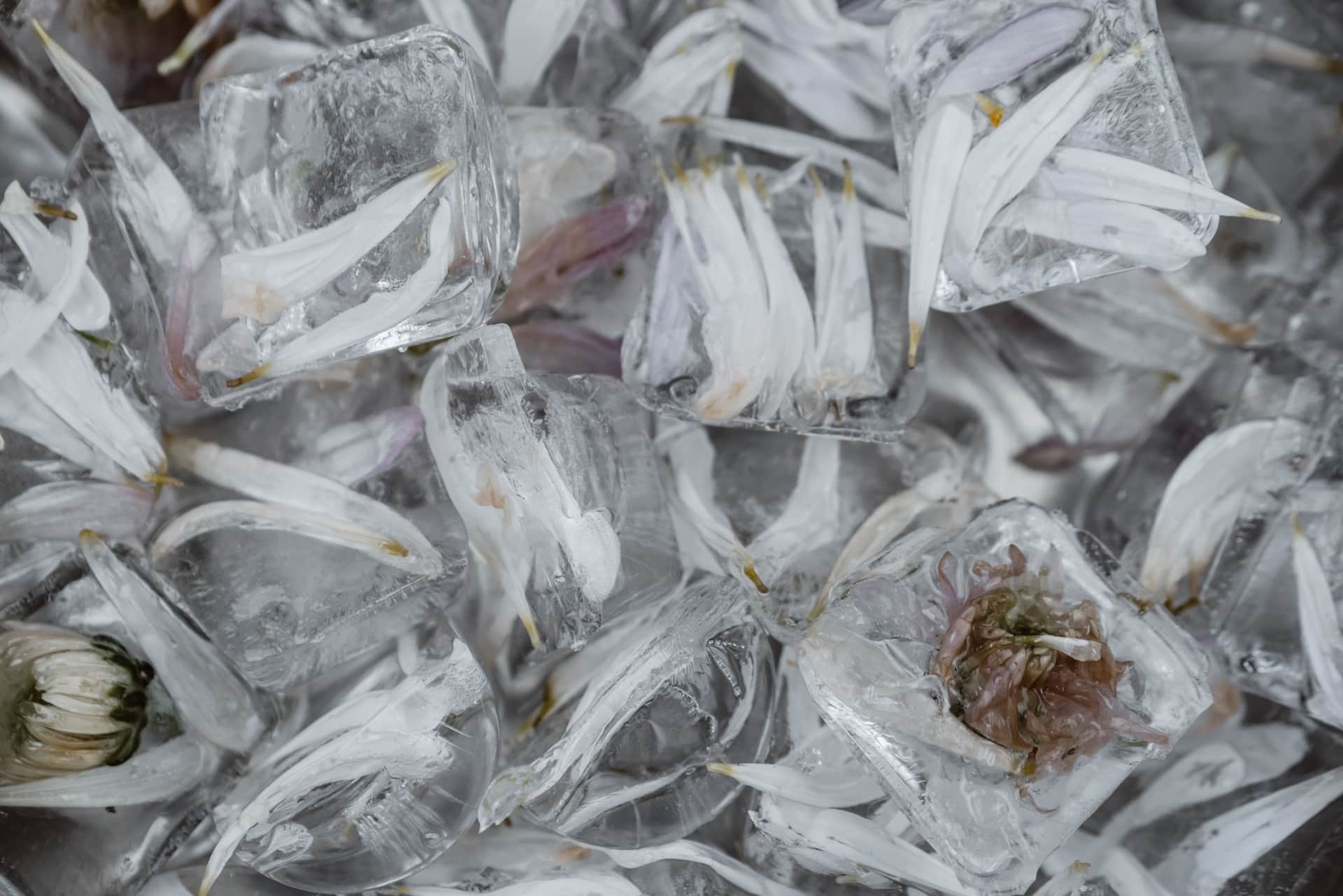 Close-up of small ice pieces of uneven size